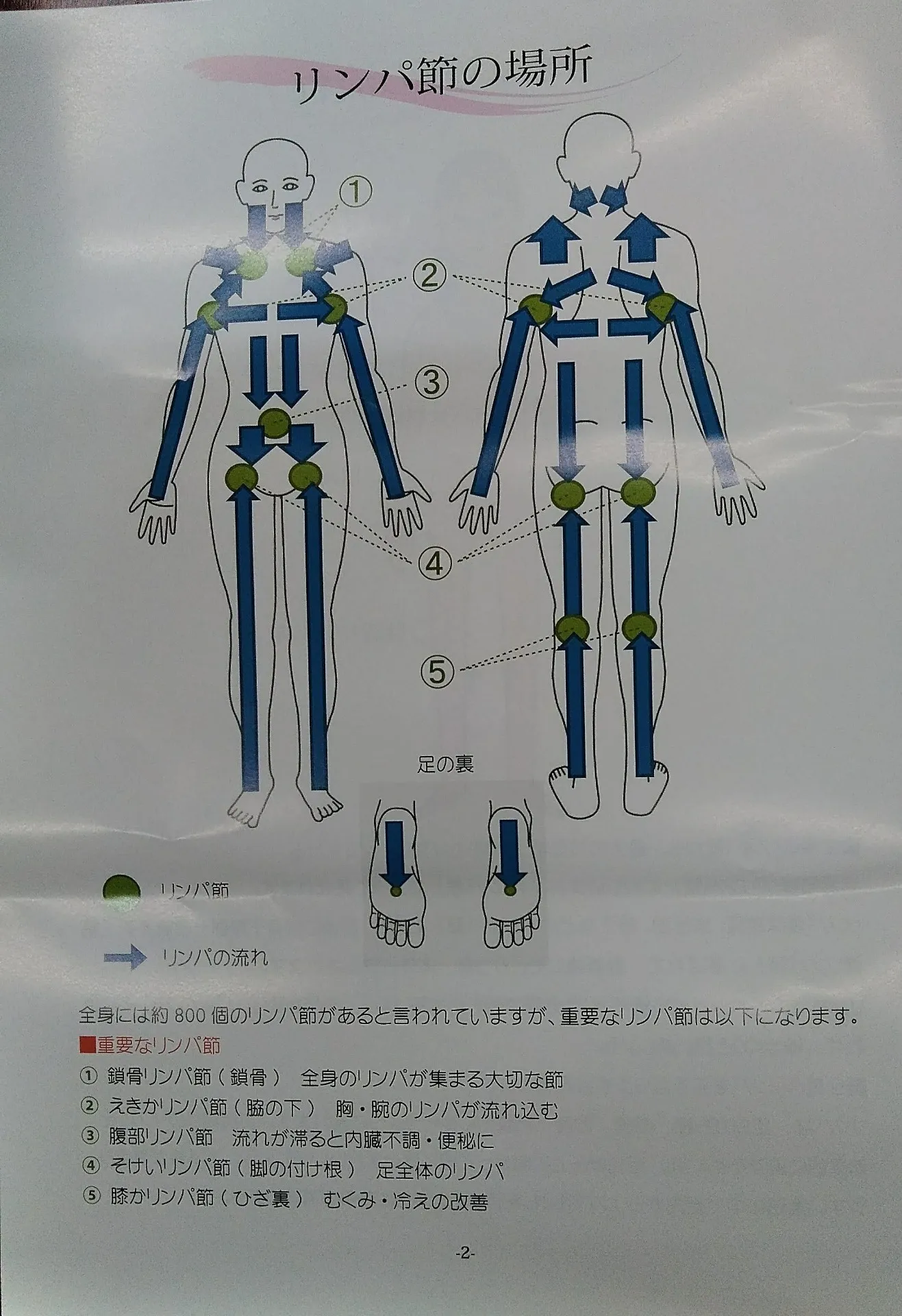 コリほぐしローラー (慢性疲労・コリ・ハリ・むくみ・筋疲労・筋肉痛) 筋弛緩ローラー