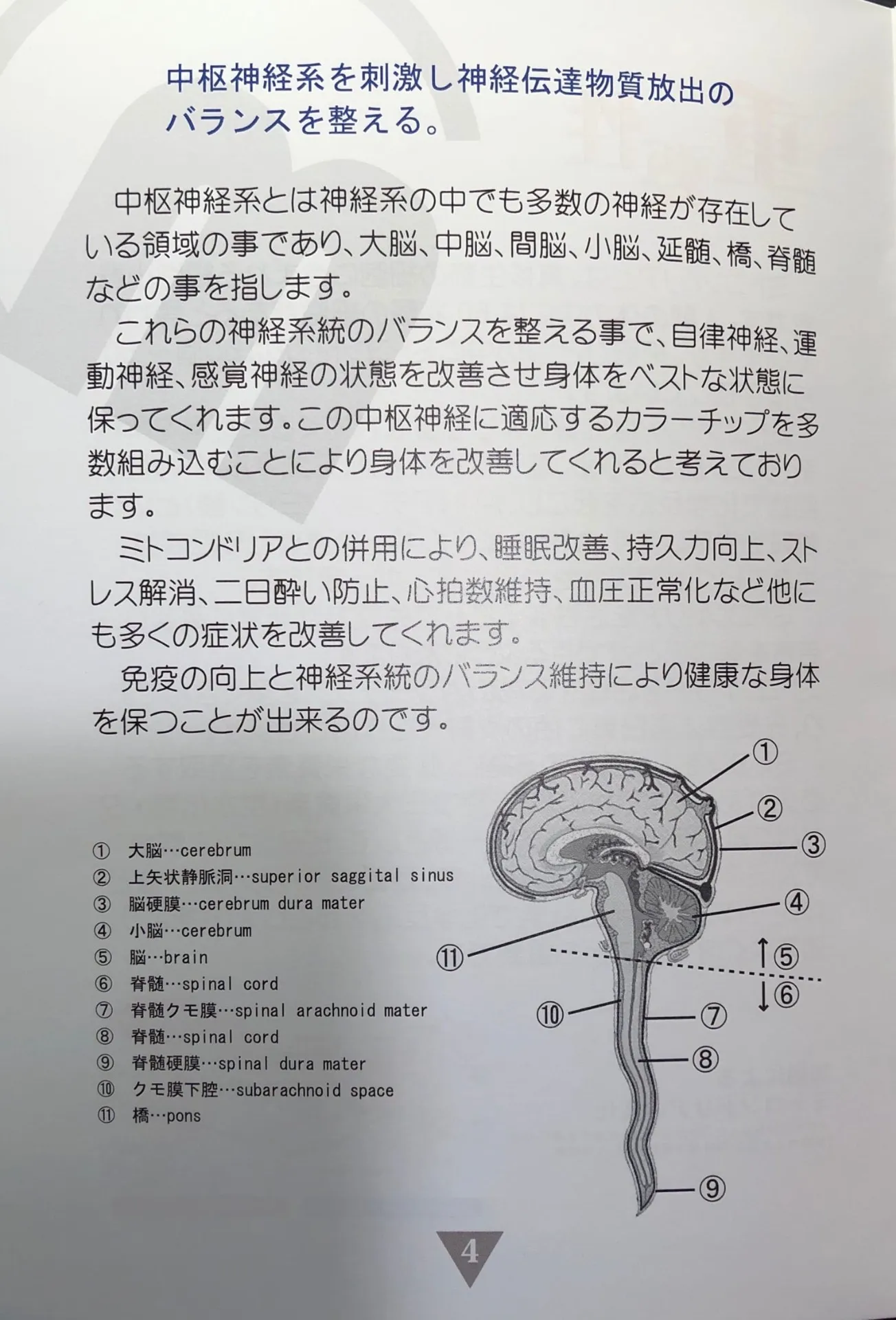 ミトコンドリア活性器(免疫力アップ・ハイパフォーマンス維持・運動機能アップ・エネルギー代謝向上・ストレス解消・睡眠改善・・・)